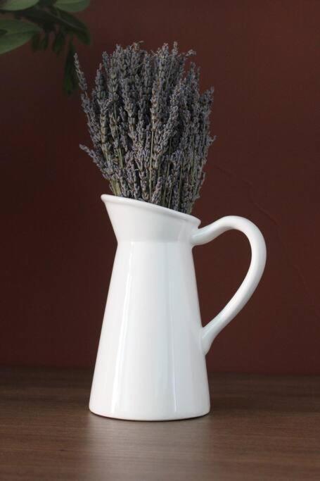 Lavandula Ring Тирана Екстер'єр фото