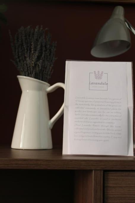 Lavandula Ring Тирана Екстер'єр фото
