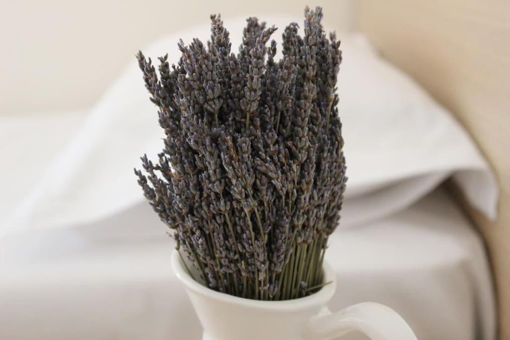 Lavandula Ring Тирана Екстер'єр фото